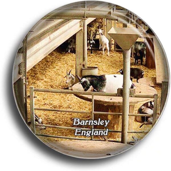 Fridge Magnet UK England Barnsley Cannon Hall Farm Glass Magnets for Refrigerator Souvenirs Cute Crystal Magnet Decor for Whiteboard Office Home Gift