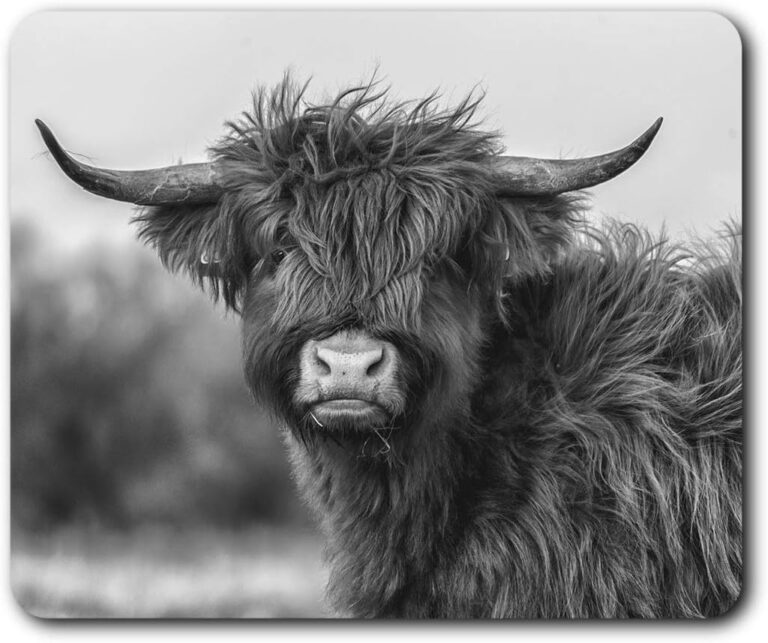 Destination Vinyl ltd Fluffy Highland Cow Scotland Mouse Mat Pad Computer PC Laptop Gaming Office Home Desk Accessory Gadget #37214