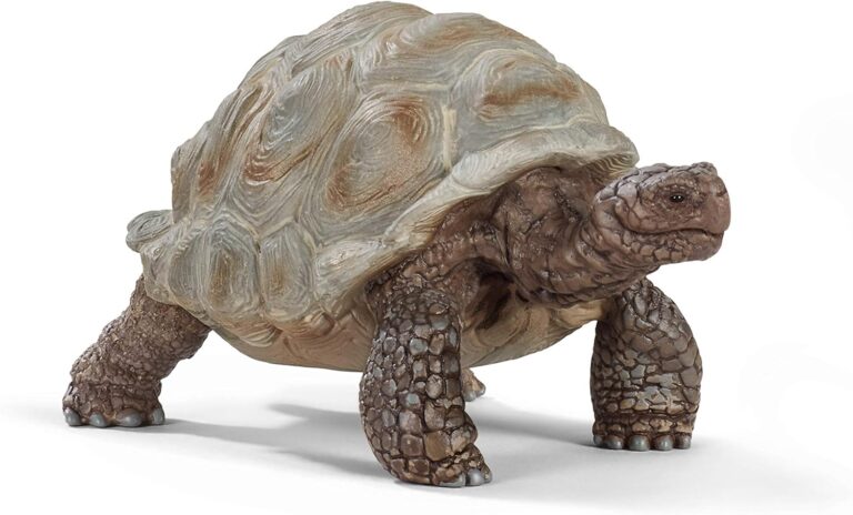 schleich Wild Life 14824 Realistic Exotic Galapagos Giant Tortoise Figurine – Wild Animal Giant Tortoise Toy Age 3+ for Wildlife Play and Imagination – Animal Toys Gift for Boys, Girls, Kids Ages 3+
