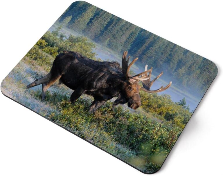 Computer Mouse Mat Pad – Colorado Moose Wild Forest Animal Home Office PC Desk Accessory Flexible Fabric Top Large 5mm Laptop Desktop Printed Art Ergonomic #16629