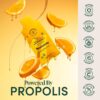 Beekeepers Naturals Kids Propolis + Vit C Liposomal 12ct, 12 CT