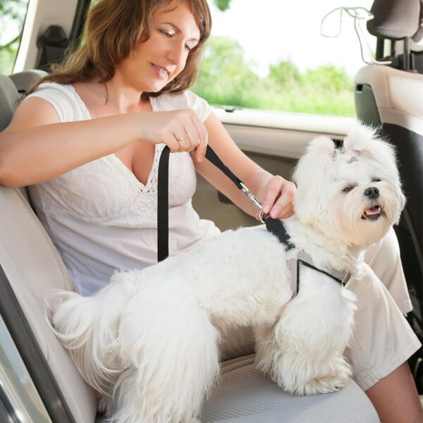 Ram® 2 X Dog Car Seat Belts 70CM Adjustable Car Seatbelt Harness Strap For Dogs Cat Travel Strong Durable Clip On Pet Travel Seat Belt