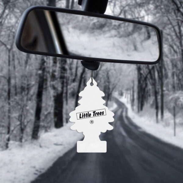 61Vs5YlhRrL._AC_SL1200_.jpg Little Trees Air Freshener Tree MTZ02 New Car Fragrance For Car Home Boat Caravan - Six Pack, Blue