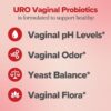 61sCyryfUUL._AC_SL1000_.jpg O Positiv URO Vaginal Probiotics for Women pH Balance with Prebiotics & Lactobacillus – Vaginal Health Supplement – Support Healthy Vaginal Odor & Flora, 60 Count (Pack of 1), 1 Month Supply
