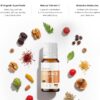 714qmHeqlcL._AC_SL1500_.jpg Essence | Daily Fermented Superfood Shot for Gut Health, Immunity & Natural Energy | 16 Organic Ingredient | 7-Stage Cascade Fermentation | Vegan, Non-GMO, Gluten-Free| 0.68 fl oz(20 Bottle)