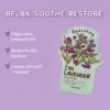 TONYMOLY I’m Lavender Sheet Mask – Korean Hydrating & Moisturizing Face Mask with Vitamin Infused Lavender & Rosemary Extract, Soothes Skin