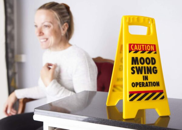 Boxer Mood Swing Novelty Warning Sign – Joke Gifts For Women Wife Or Girlfriend – Moody Teenager Gift – Office Secret Santa For Colleague, Yellow