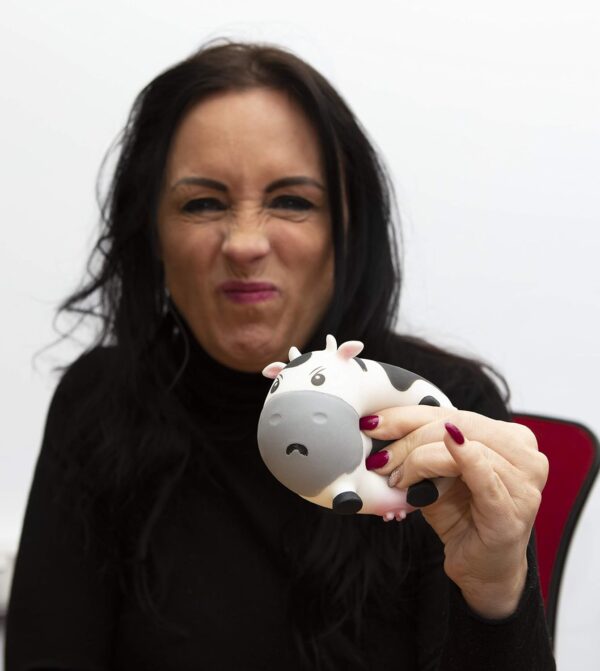 Boxer Gifts Moody Cow Stress Toys | Unique Stress Balls For Adults & Grumpy Teenagers - Helps With Anxiety Relief - Office Novelty Desk Toy | Funny Gifts For Women - Rude Secret Santa Gift For Her
