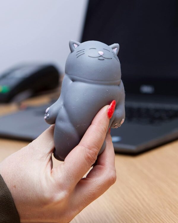 71yuZN2gKL._AC_SL1500_.jpg Boxer Gifts Kalma Kitty Squishy Toy Stress Relief - Helps With Anxiety – Office Desk Toy - Birthday Christmas Secret Santa Stocking Filler Gift for Cat Lovers