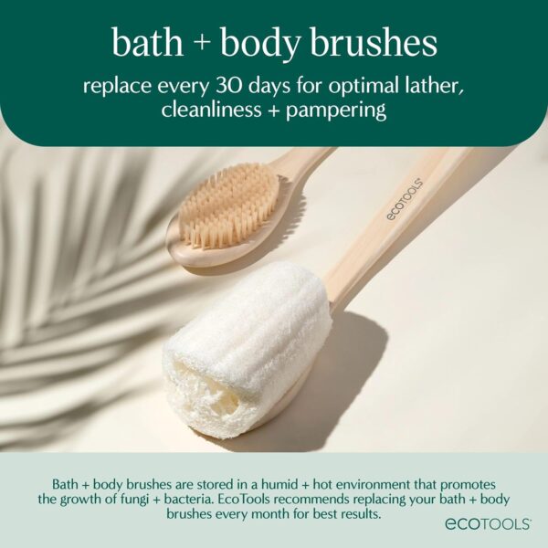 819lRqZyIZL._SL1500_.jpg EcoTools Dry Body Brush, Cruelty-Free Bristles Exfoliate & Smooth Skin, Dry Brushing Removes Flaky Skin, May Help Improve Circulation & Tone, Eco-Friendly Skincare Tool, Vegan & Cruelty-Free, 1 Count
