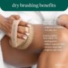 81DcfKNkXLL._SL1500_.jpg EcoTools Dry Body Brush, Cruelty-Free Bristles Exfoliate & Smooth Skin, Dry Brushing Removes Flaky Skin, May Help Improve Circulation & Tone, Eco-Friendly Skincare Tool, Vegan & Cruelty-Free, 1 Count