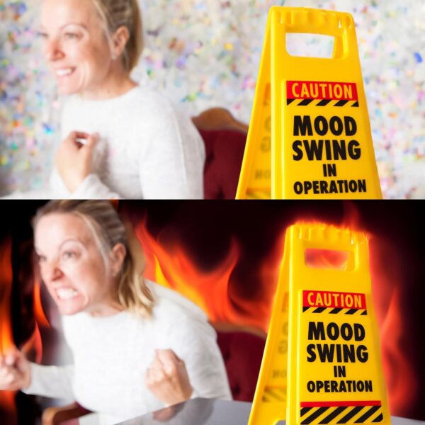 Boxer Mood Swing Novelty Warning Sign – Joke Gifts For Women Wife Or Girlfriend – Moody Teenager Gift – Office Secret Santa For Colleague, Yellow