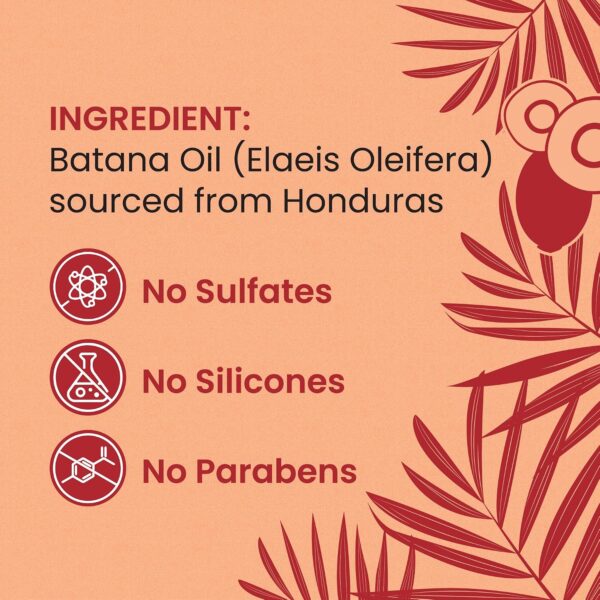 81QvIQfQ8hL._SL1500_.jpg Lebanta Raw Batana Oil for Hair - 100% Pure, Organic 4oz Batana from Honduras for Fuller, Thicker-Looking Hair - Unrefined Cold Pressed Cosmetic Scalp Oil & Hair Mask, Gift for Women (1 Pack)