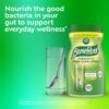 Benefiber Daily Prebiotic GLP-1 Friendly Fiber Supplement Powder for Digestive Health, Unflavored - 250 Teaspoons (17.6 Ounces)