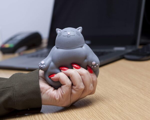 81VW9YMxL9L._AC_SL1500_.jpg Boxer Gifts Kalma Kitty Squishy Toy Stress Relief - Helps With Anxiety – Office Desk Toy - Birthday Christmas Secret Santa Stocking Filler Gift for Cat Lovers