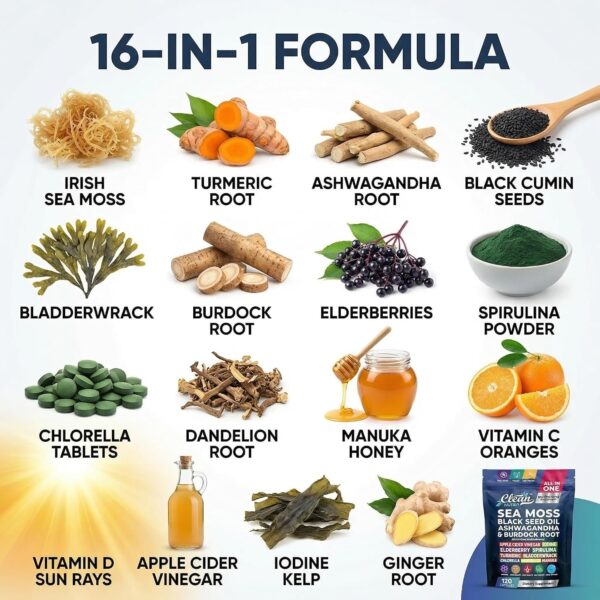 81YbIX5g9L._AC_SL1500_.jpg Clean Nutraceuticals Sea Moss Black Seed Oil Ashwagandha Turmeric Bladderwrack Burdock & Vitamin C Vitamin D3 with Elderberry Manuka Dandelion (120 Count (Pack of 1))